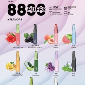 CHILL 拋棄式8800口｜8ml大容量-A  (買 10 送 1)